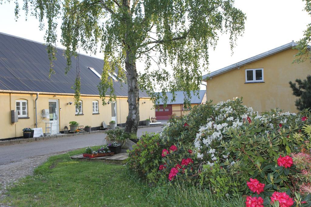 Strandsegard Ferielejlighed Ølsted Dış mekan fotoğraf