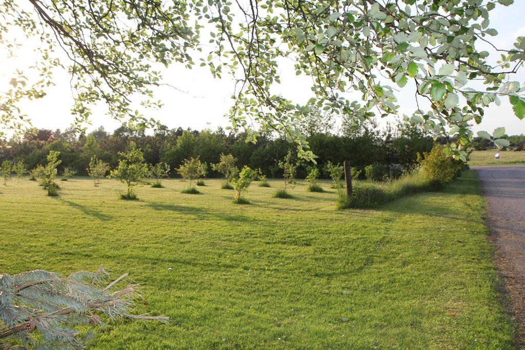 Strandsegard Ferielejlighed Ølsted Dış mekan fotoğraf